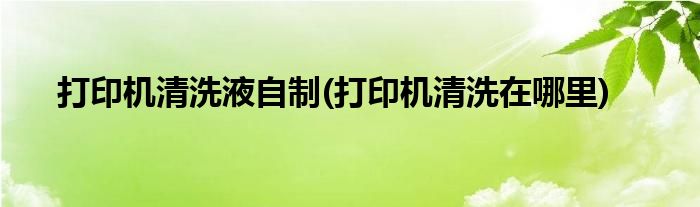 打印机清洗液自制(打印机清洗在哪里)