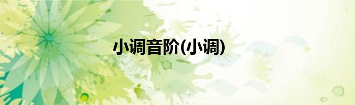 小调音阶(小调)