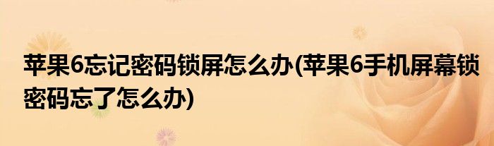 苹果6忘记密码锁屏怎么办(苹果6手机屏幕锁密码忘了怎么办)