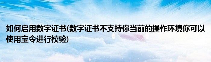 如何启用数字证书(数字证书不支持你当前的操作环境你可以使用宝令进行校验)