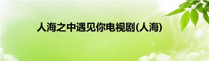 人海之中遇见你电视剧(人海)