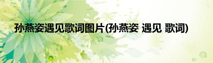 孙燕姿遇见歌词图片(孙燕姿 遇见 歌词)