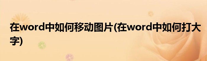 在word中如何移动图片(在word中如何打大字)