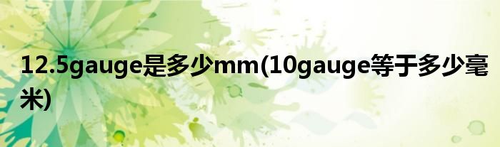 12.5gauge是多少mm(10gauge等于多少毫米)