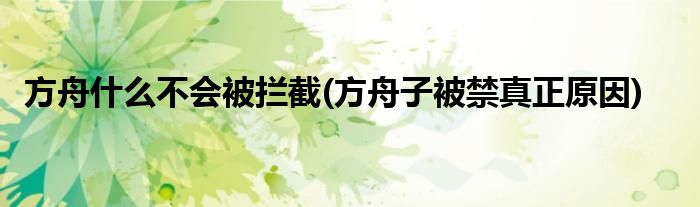 方舟什么不会被拦截(方舟子被禁真正原因)