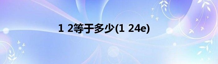 1 2等于多少(1 24e)