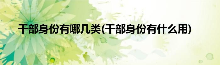 干部身份有哪几类(干部身份有什么用)
