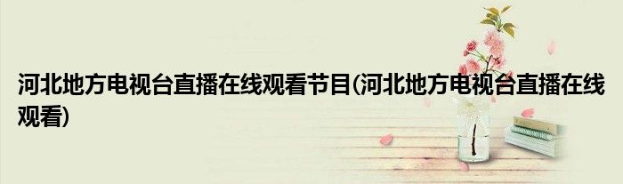 河北地方电视台直播在线观看节目(河北地方电视台直播在线观看)