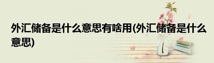 外汇储备是什么意思有啥用(外汇储备是什么意思)