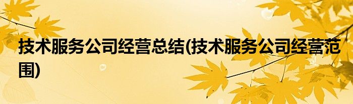 技术服务公司经营总结(技术服务公司经营范围)