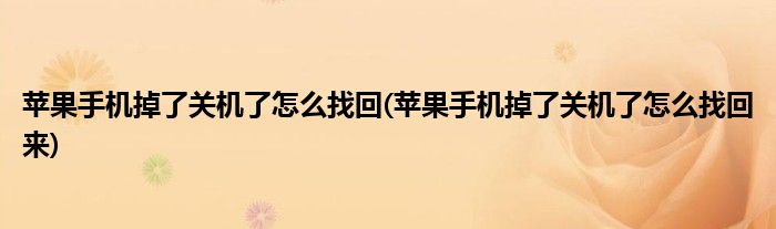 苹果手机掉了关机了怎么找回(苹果手机掉了关机了怎么找回来)