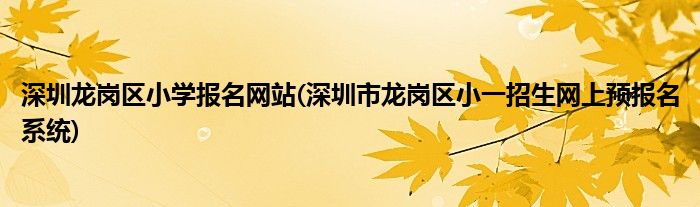 深圳龙岗区小学报名网站(深圳市龙岗区小一招生网上预报名系统)