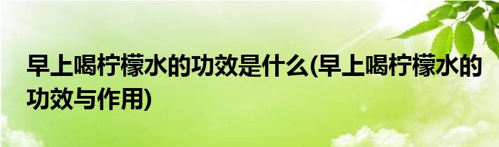 早上喝柠檬水的功效是什么(早上喝柠檬水的功效与作用)