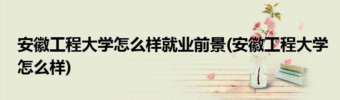 安徽工程大学怎么样就业前景(安徽工程大学怎么样)