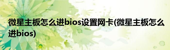 微星主板怎么进bios设置网卡(微星主板怎么进bios)