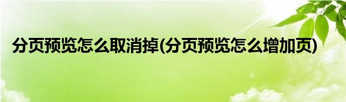 分页预览怎么取消掉(分页预览怎么增加页)