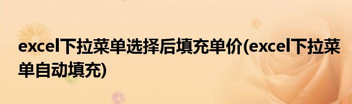 excel下拉菜单选择后填充单价(excel下拉菜单自动填充)