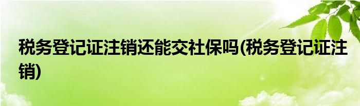 税务登记证注销还能交社保吗(税务登记证注销)