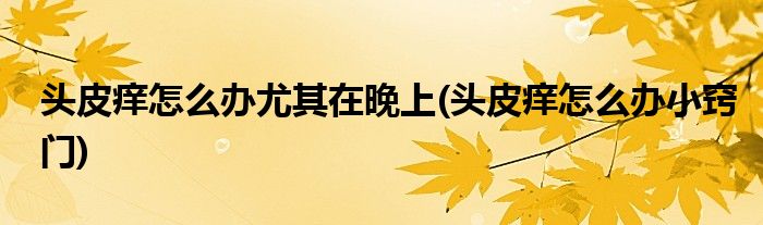 头皮痒怎么办尤其在晚上(头皮痒怎么办小窍门)