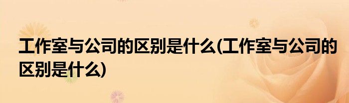 工作室与公司的区别是什么(工作室与公司的区别是什么)