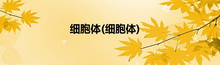 细胞体(细胞体)