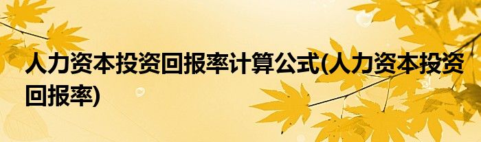 人力资本投资回报率计算公式(人力资本投资回报率)