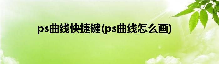 ps曲线快捷键(ps曲线怎么画)