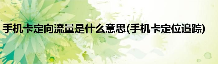 手机卡定向流量是什么意思(手机卡定位追踪)