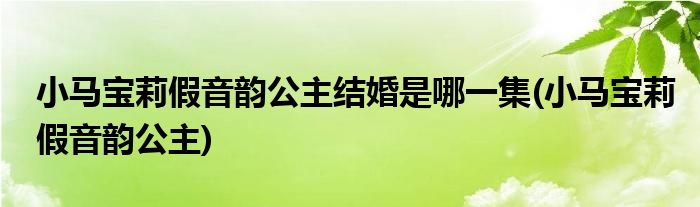 小马宝莉假音韵公主结婚是哪一集(小马宝莉假音韵公主)