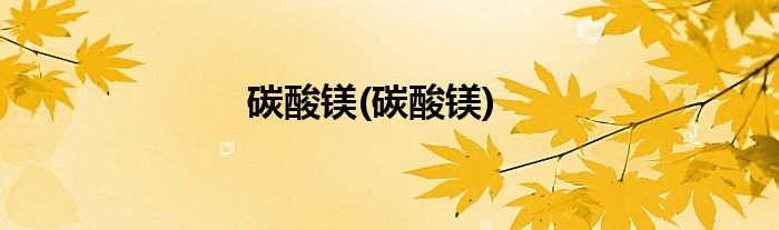 碳酸镁(碳酸镁)