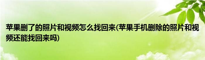 苹果删了的照片和视频怎么找回来(苹果手机删除的照片和视频还能找回来吗)