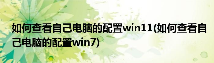 如何查看自己电脑的配置win11(如何查看自己电脑的配置win7)