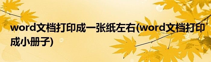 word文档打印成一张纸左右(word文档打印成小册子)