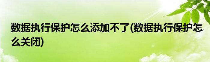 数据执行保护怎么添加不了(数据执行保护怎么关闭)