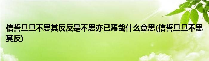 信誓旦旦不思其反反是不思亦已焉哉什么意思(信誓旦旦不思其反)