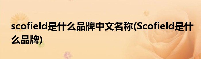 scofield是什么品牌中文名称(Scofield是什么品牌)