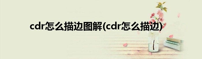 cdr怎么描边图解(cdr怎么描边)