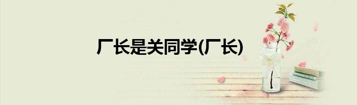 厂长是关同学(厂长)