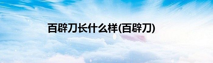 百辟刀长什么样(百辟刀)