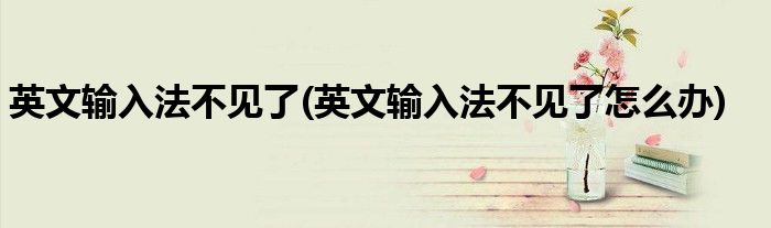 英文输入法不见了(英文输入法不见了怎么办)