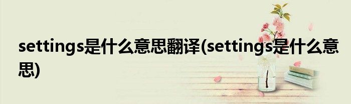 settings是什么意思翻译(settings是什么意思)