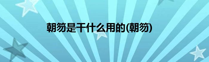 朝笏是干什么用的(朝笏)