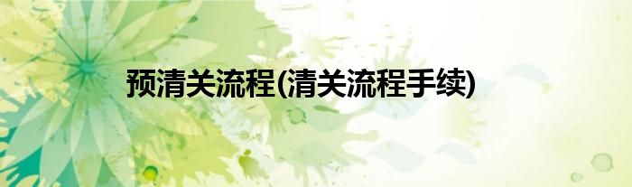 预清关流程(清关流程手续)