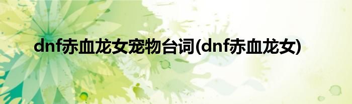 dnf赤血龙女宠物台词(dnf赤血龙女)