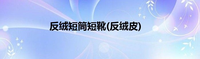 反绒短筒短靴(反绒皮)