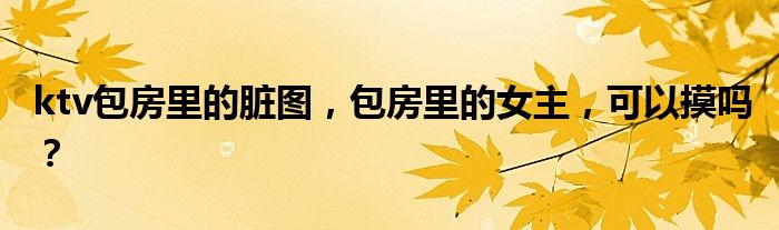 ktv包房里的脏图，包房里的女主，可以摸吗？