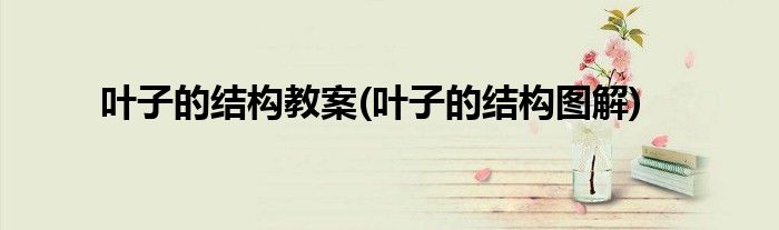 叶子的结构教案(叶子的结构图解)