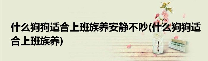 什么狗狗适合上班族养安静不吵(什么狗狗适合上班族养)