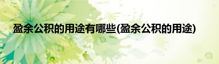 盈余公积的用途有哪些(盈余公积的用途)