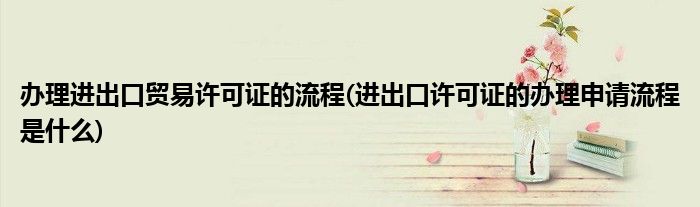办理进出口贸易许可证的流程(进出口许可证的办理申请流程是什么)